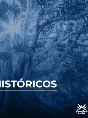 Libros Históricos - Josué - Jueces - Rut - Material de Estudio